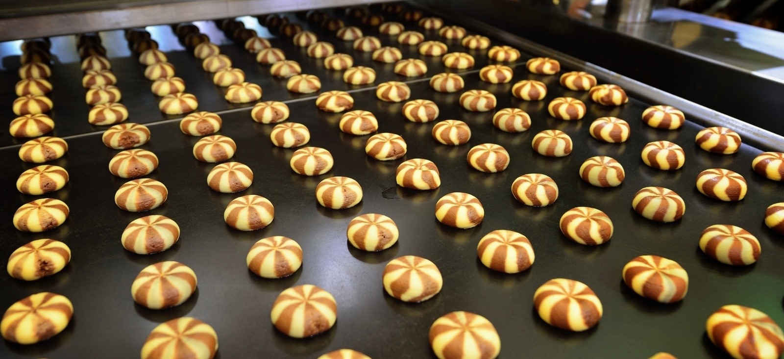 Baked goods on a conveyor belt. Resonon hyperspectral could be used to measure moisture content in real-time.