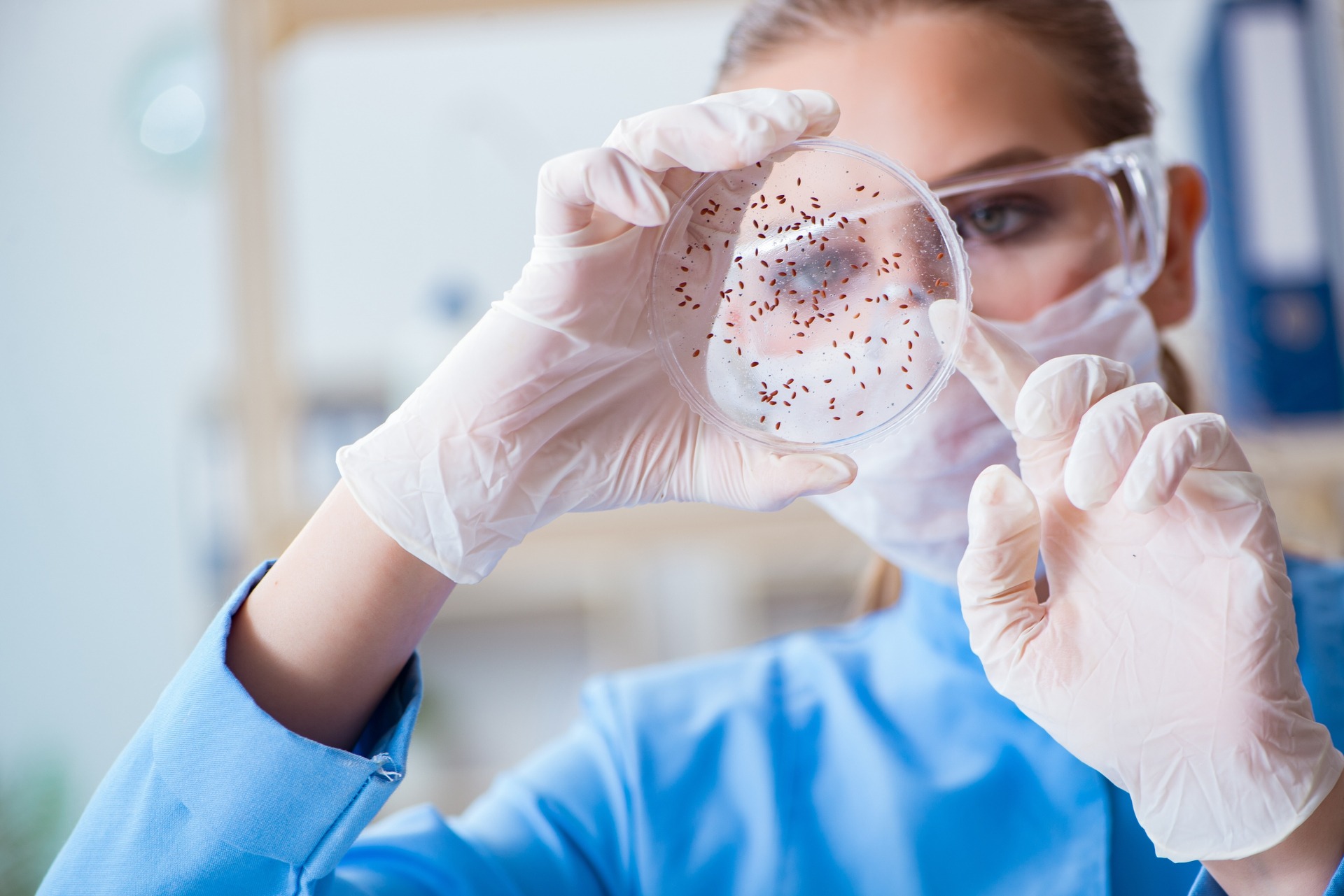 Lab Worker Inspecting Petri Dish