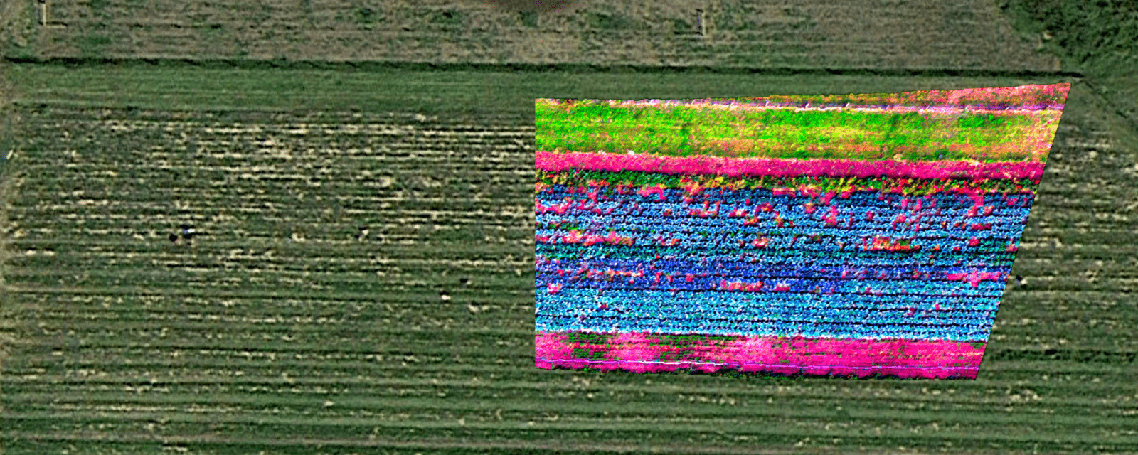Hyperspectral scanning system Remote Sensing Data of Agriculture